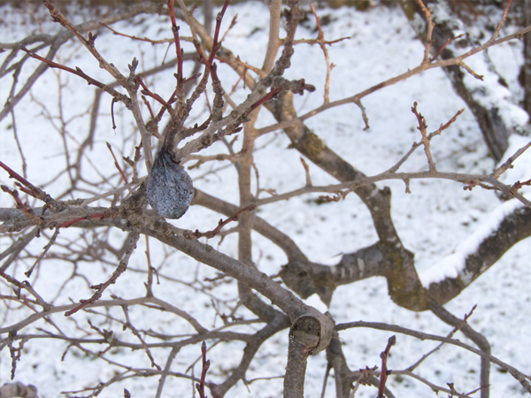 Fotografie mnutzDesign