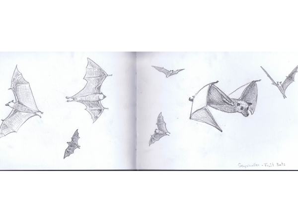 Reiseskizzen Seychellen mnutzDesign