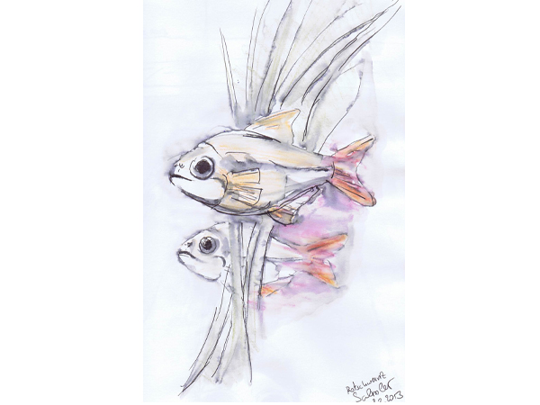 Skizzenbuch mnutzdesign