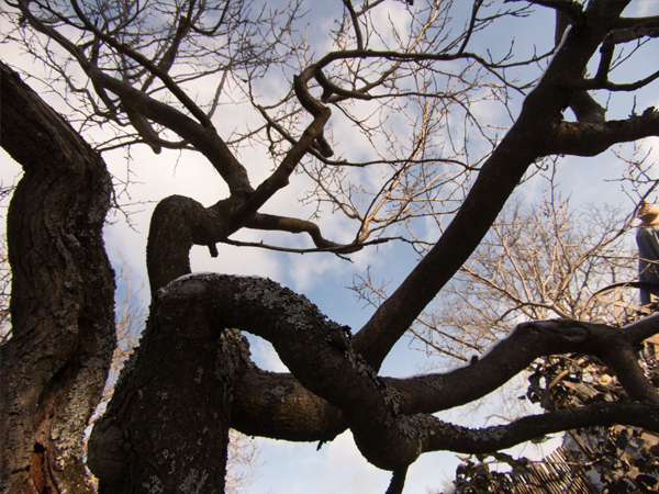 Fotografie mnutzDesign