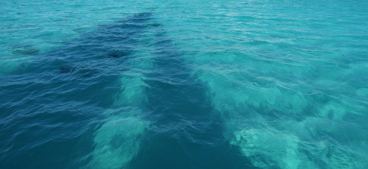 Fotos Bahamas mnutzDesign